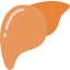 Gan - Giải Độc