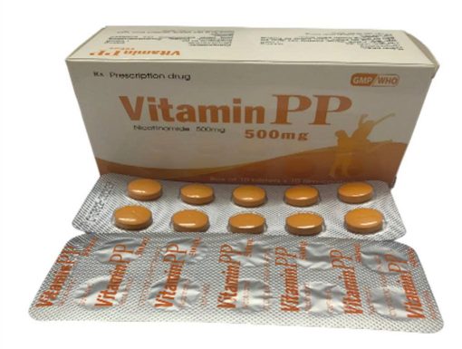 Vitamin PP 500 Nicotinamid 500mg Tipharco (Hôp 100 viên)